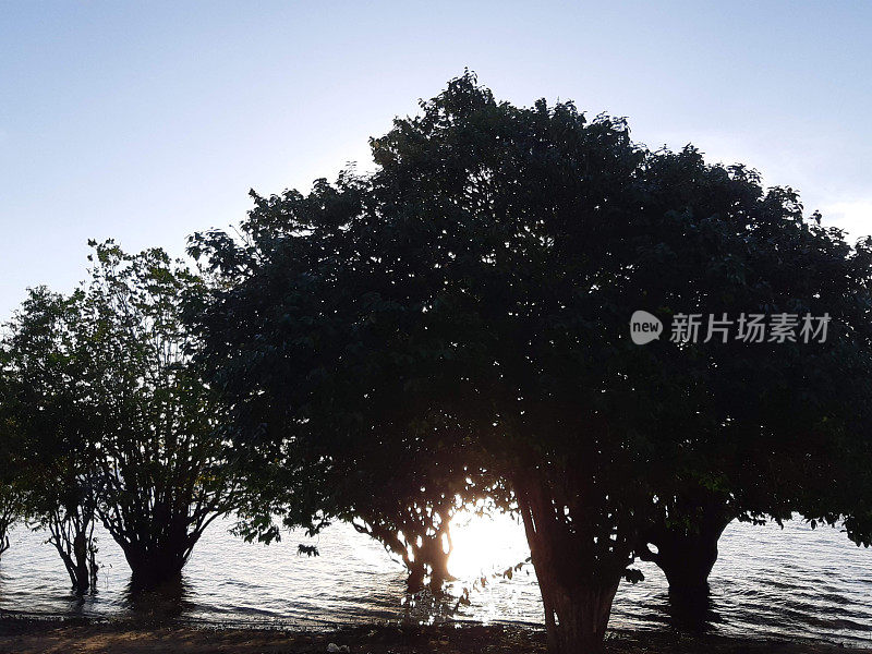 亚马逊地区- TAPAJOS - PARA